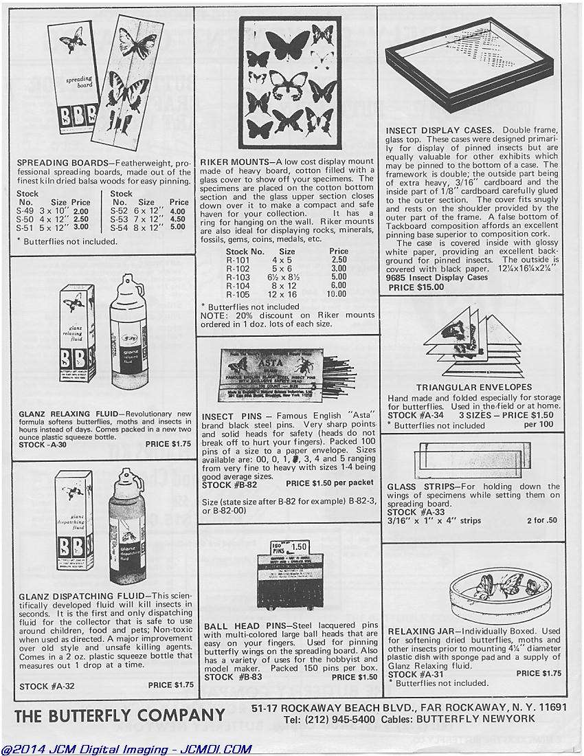 The Butterfly Company(NY) ads, forms, fliers